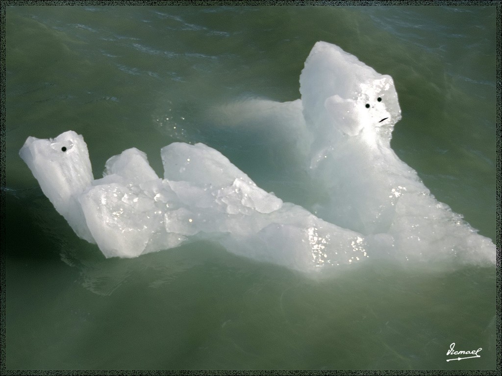 Foto: 150414-087 PERITO MORENO - Calafate (Santa Cruz), Argentina
