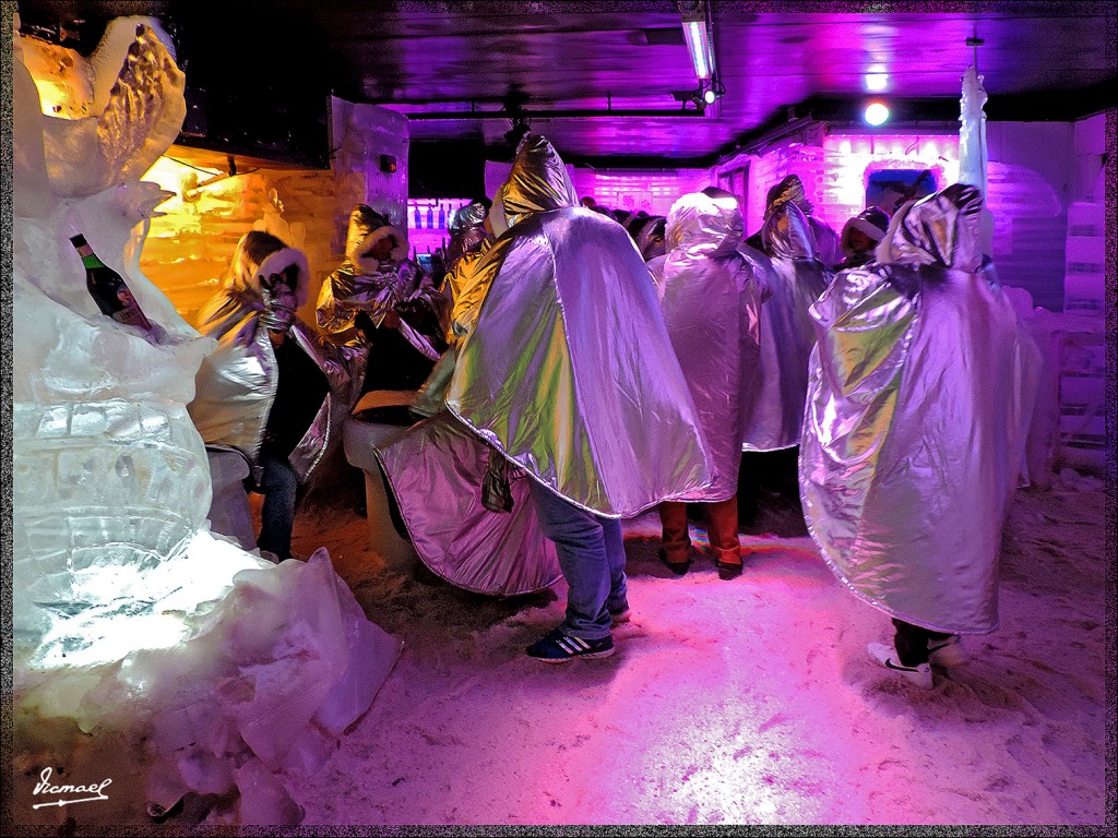 Foto: 150414-105 CALAFATE - Calafate (Santa Cruz), Argentina