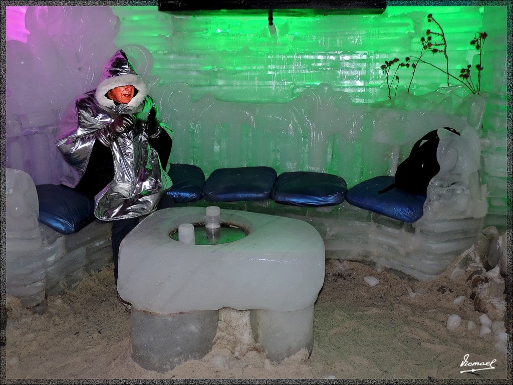 Foto: 150414-118 CALAFATE - Calafate (Santa Cruz), Argentina