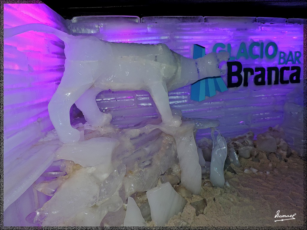 Foto: 150414-119 CALAFATE - Calafate (Santa Cruz), Argentina