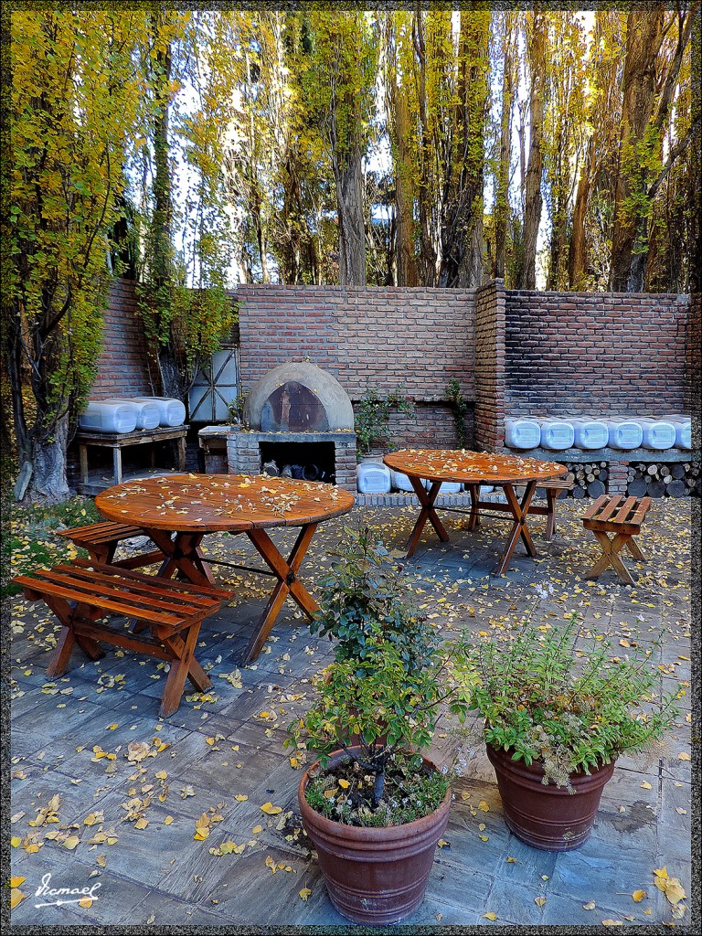 Foto: 150415-007 CALAFATE - Calafate (Santa Cruz), Argentina