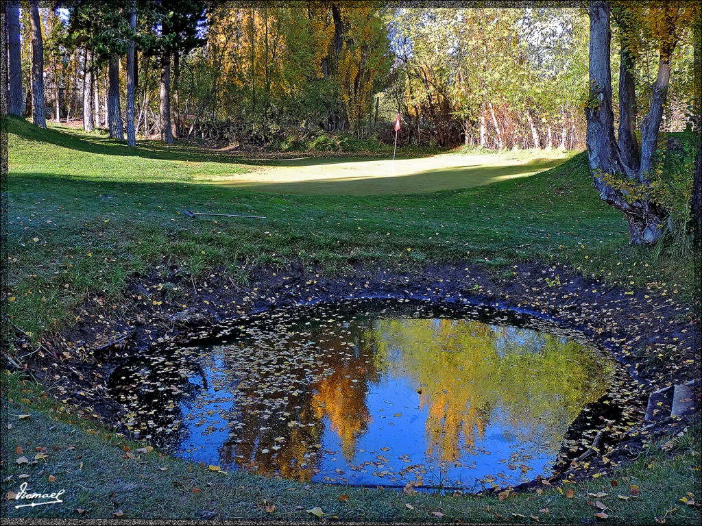 Foto: 150415-011 CALAFATE - Calafate (Santa Cruz), Argentina