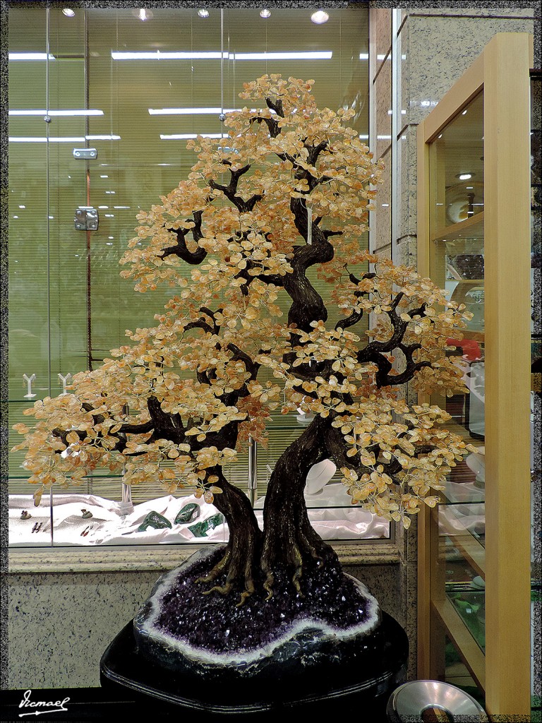 Foto: 150416-017 IGUAZú BRASIL - Iguazu (Paraná), Brasil