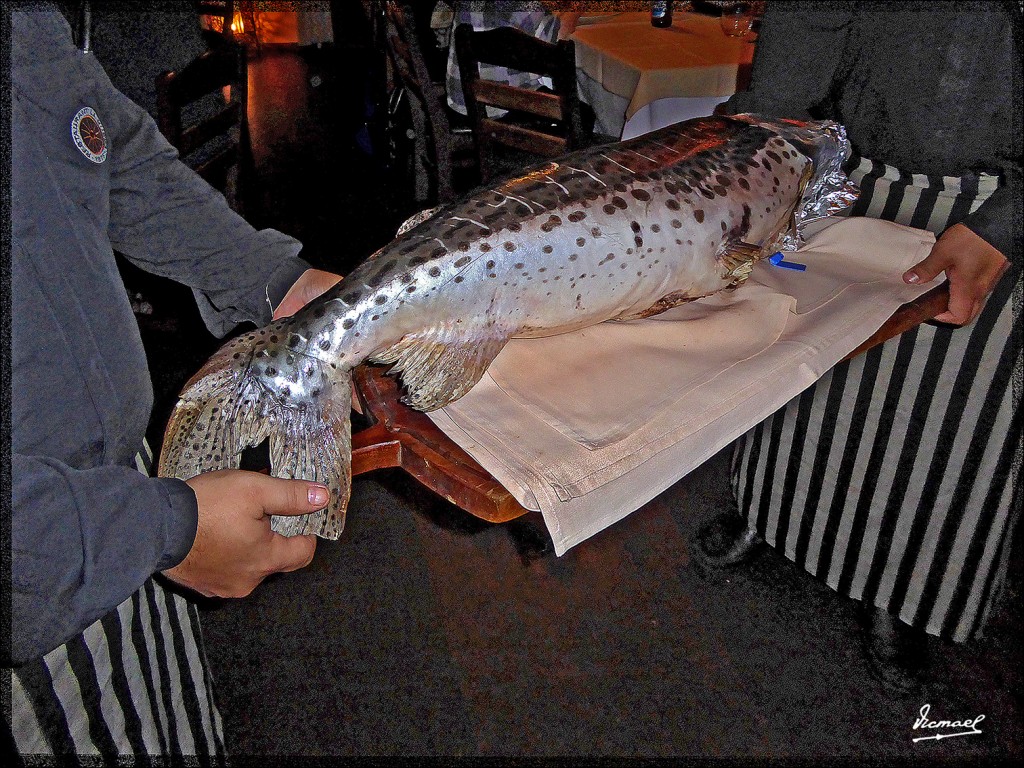 Foto: 150416-166 IGUAZú - Iguazu (Misiones), Argentina