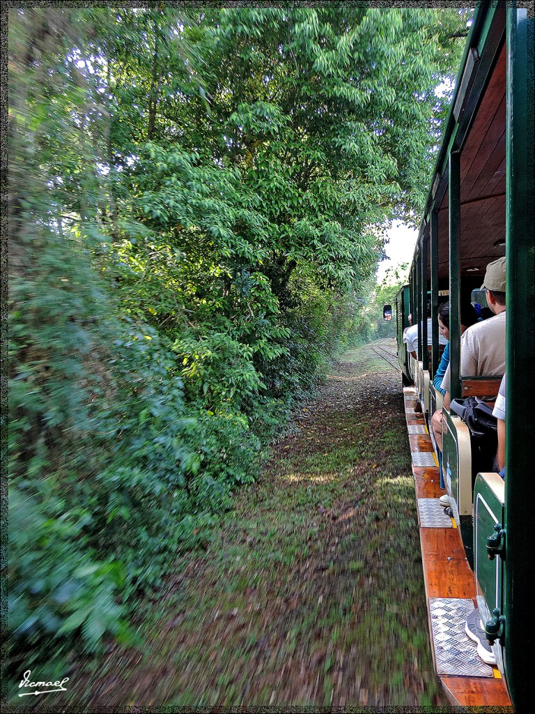 Foto: 150417-010 IGUAZú ARGENTINA - Iguazu (Misiones), Argentina