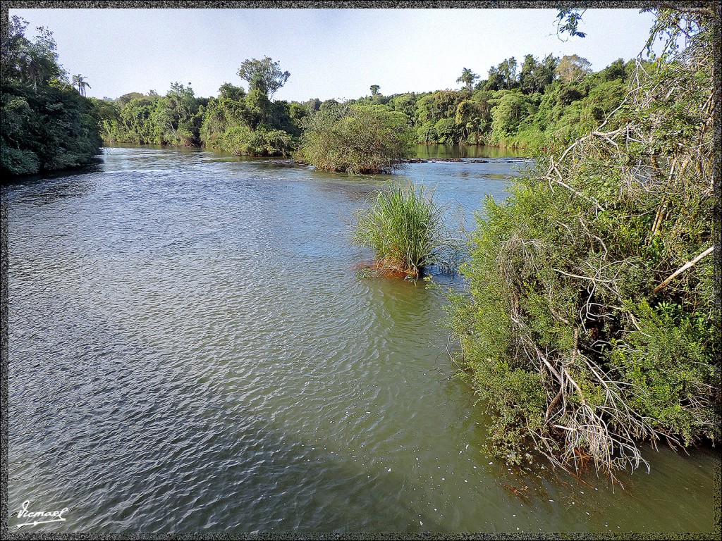 Foto: 150417-028 IGUAZú ARGENTINA - Iguazu (Misiones), Argentina