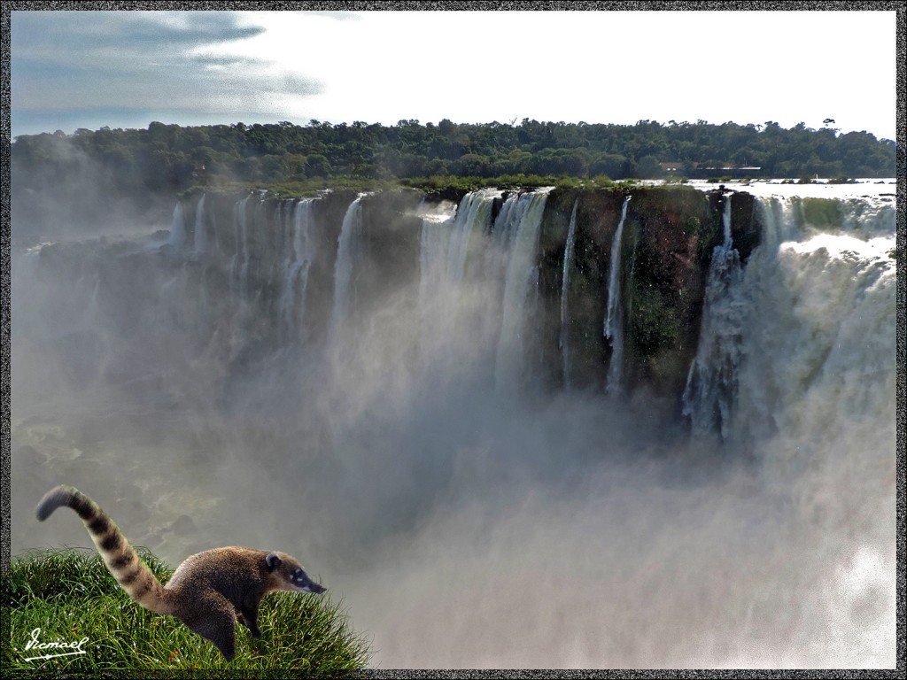 Foto: 150417-036 B IGUAZú CURIOSO TURISTA - Iguazu (Misiones), Argentina