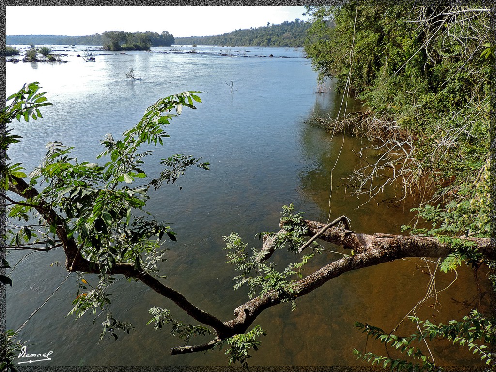 Foto: 150417-049 IGUAZú ARGENTINA - Iguazu (Misiones), Argentina