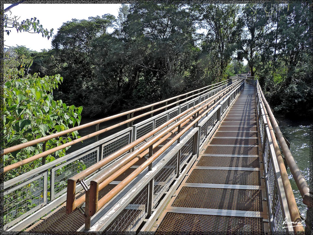 Foto: 150417-056 IGUAZú ARGENTINA - Iguazu (Misiones), Argentina