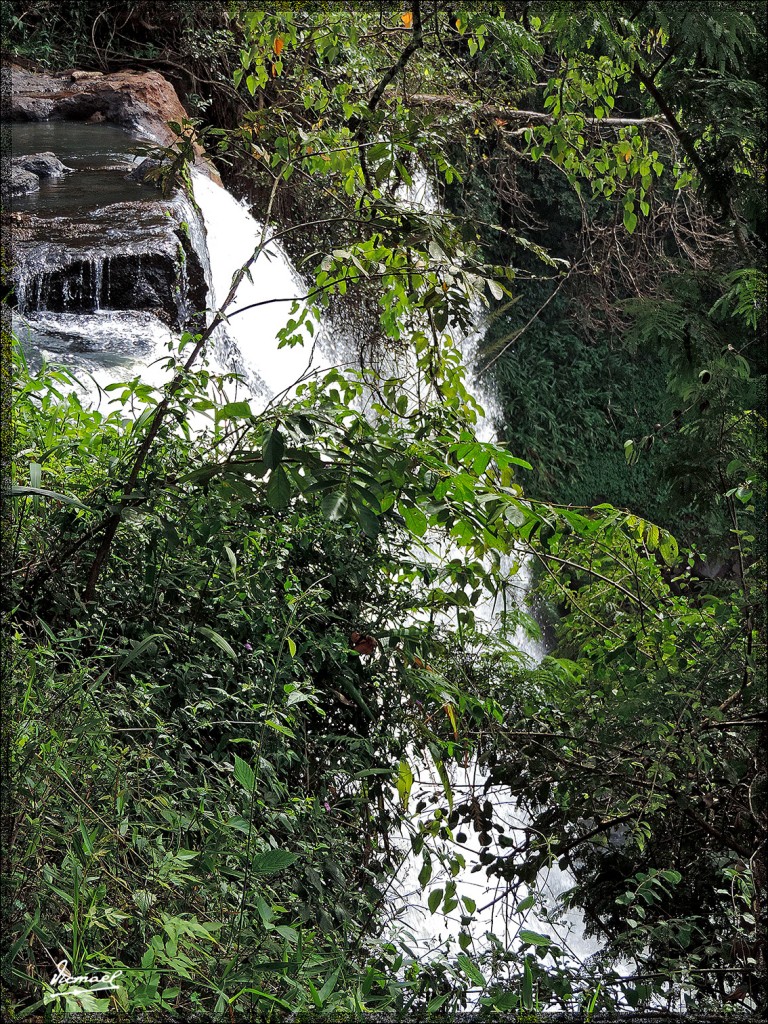 Foto: 150417-060 IGUAZú ARGENTINA - Iguazu (Misiones), Argentina