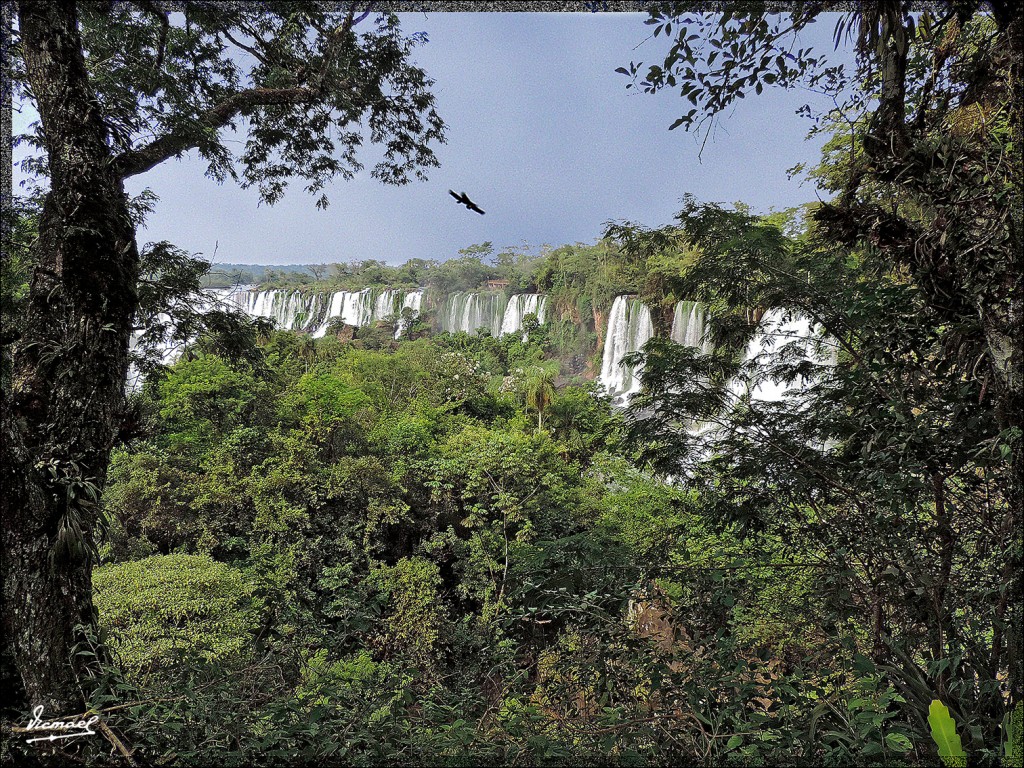 Foto: 150417-062 IGUAZú ARGENTINA - Iguazu (Misiones), Argentina