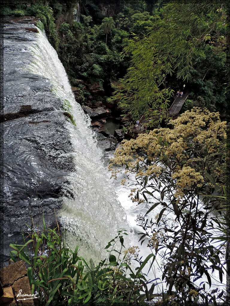 Foto: 150417-081 IGUAZú ARGENTINA - Iguazu (Misiones), Argentina