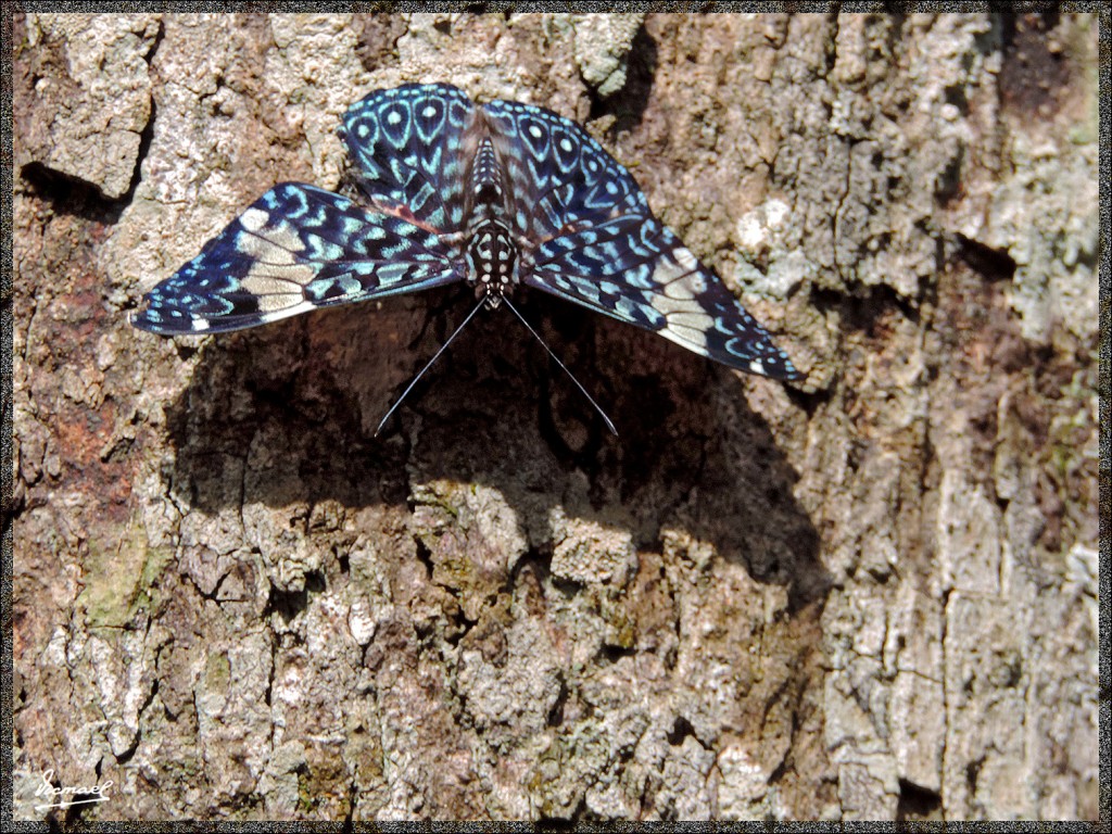 Foto: 150417-095 IGUAZú ARGENTINA - Iguazu (Misiones), Argentina