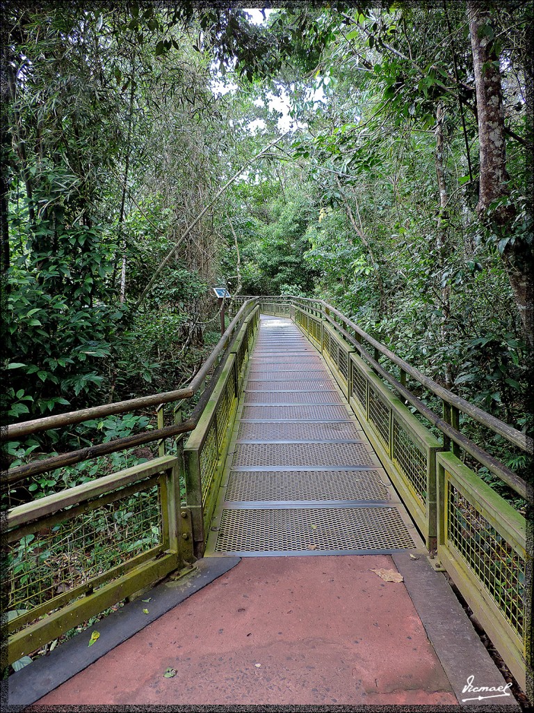 Foto: 150417-103 IGUAZú ARGENTINA - Iguazu (Misiones), Argentina