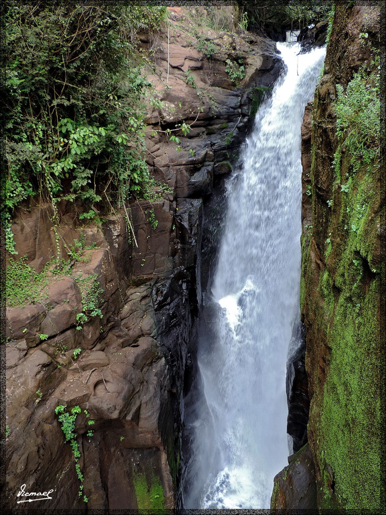 Foto: 150417-107 IGUAZú ARGENTINA - Iguazu (Misiones), Argentina