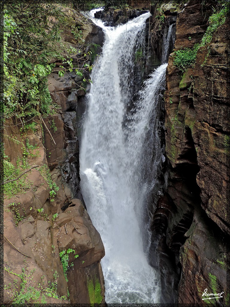 Foto: 150417-109 IGUAZú ARGENTINA - Iguazu (Misiones), Argentina