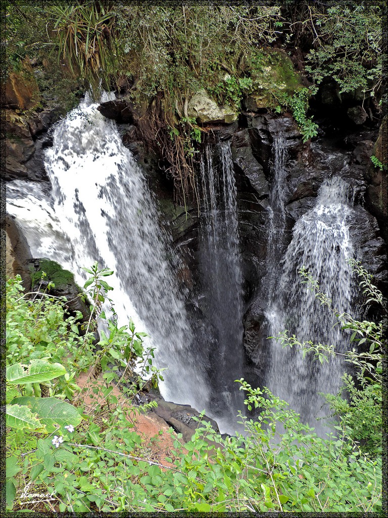 Foto: 150417-110 IGUAZú ARGENTINA - Iguazu (Misiones), Argentina