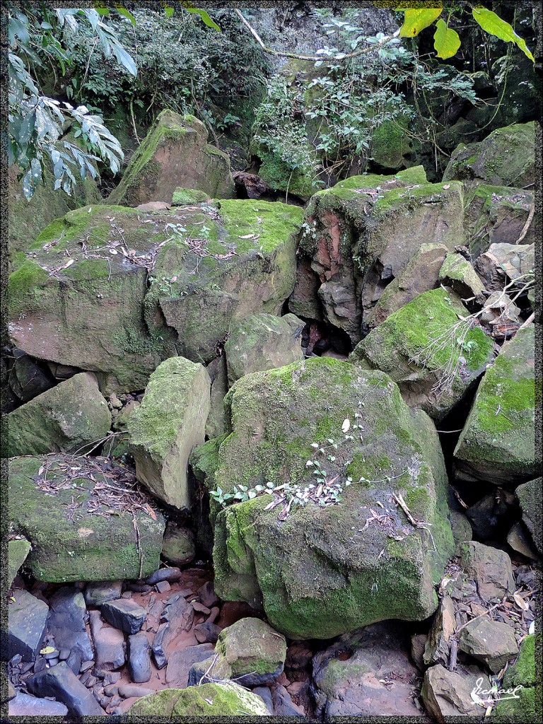 Foto: 150417-131 IGUAZú ARGENTINA - Iguazu (Misiones), Argentina