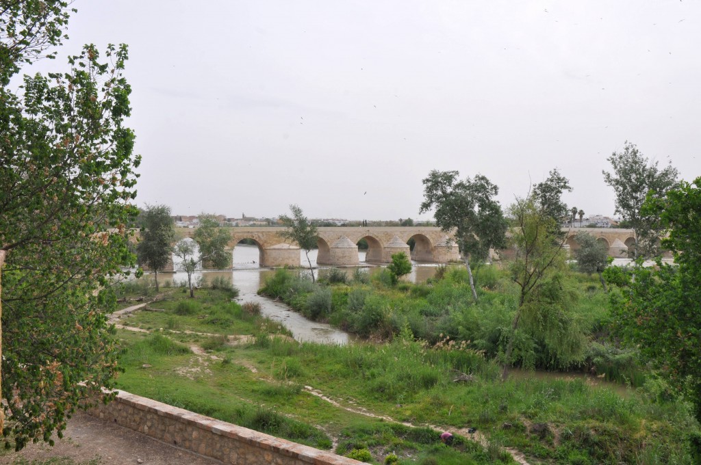 Foto: Puente romano - Cordoba (Córdoba), España