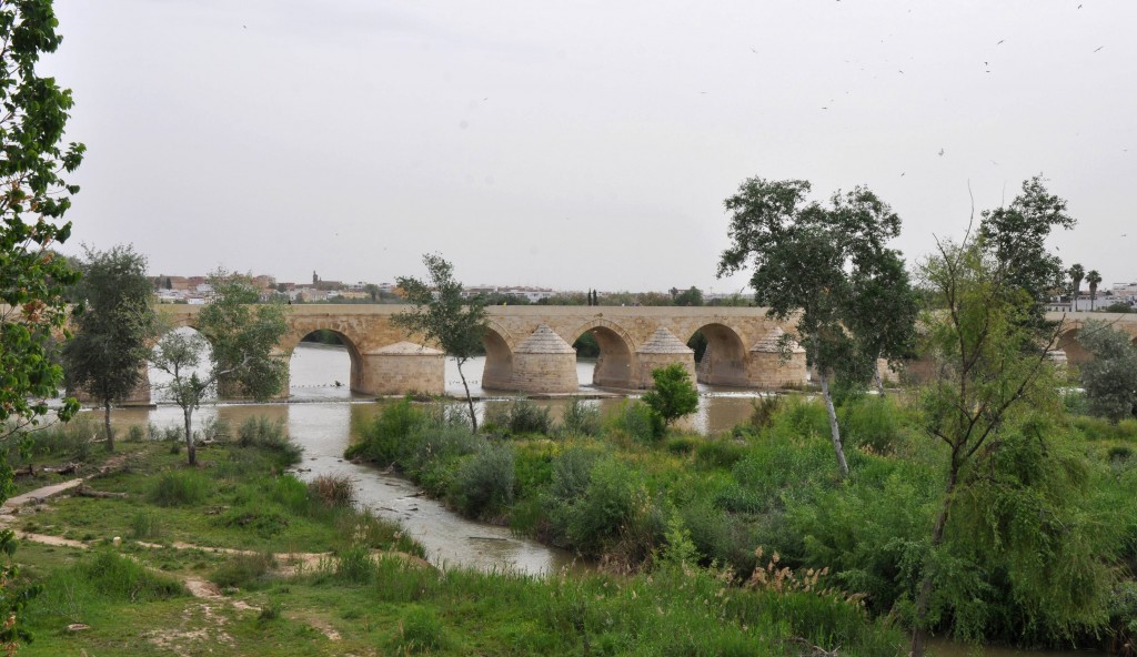 Foto: Vista puente romano - Cordoba (Córdoba), España