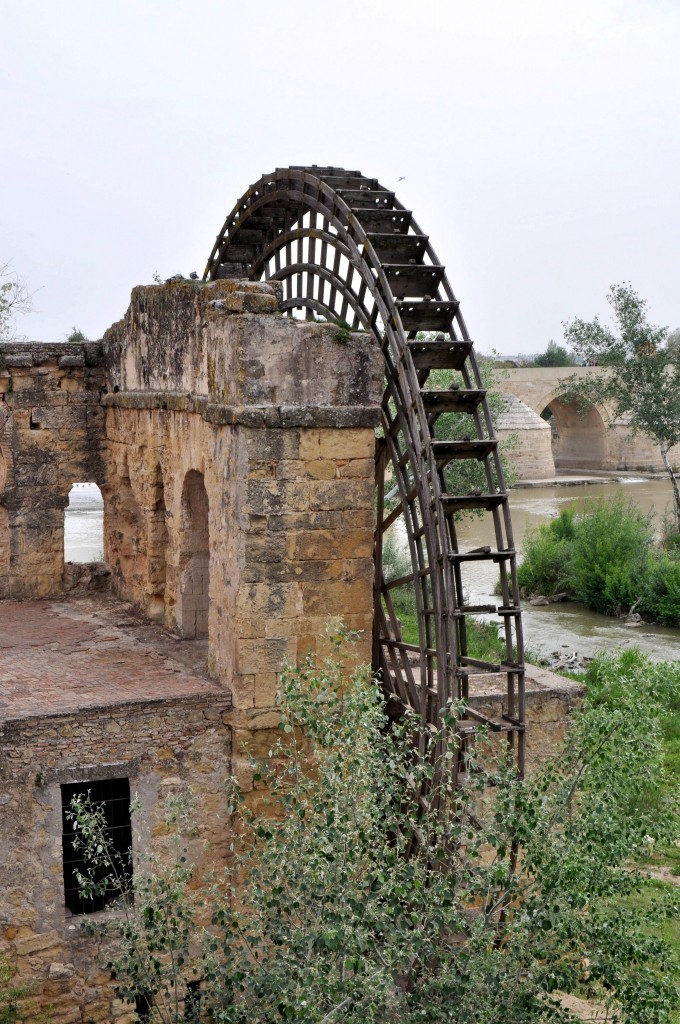 Foto: Noria en el Guadalquivir - Cordoba (Córdoba), España