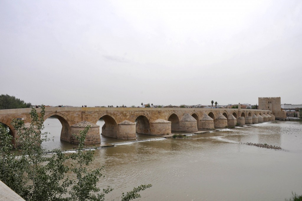 Foto: Puente romano - Cordoba (Córdoba), España