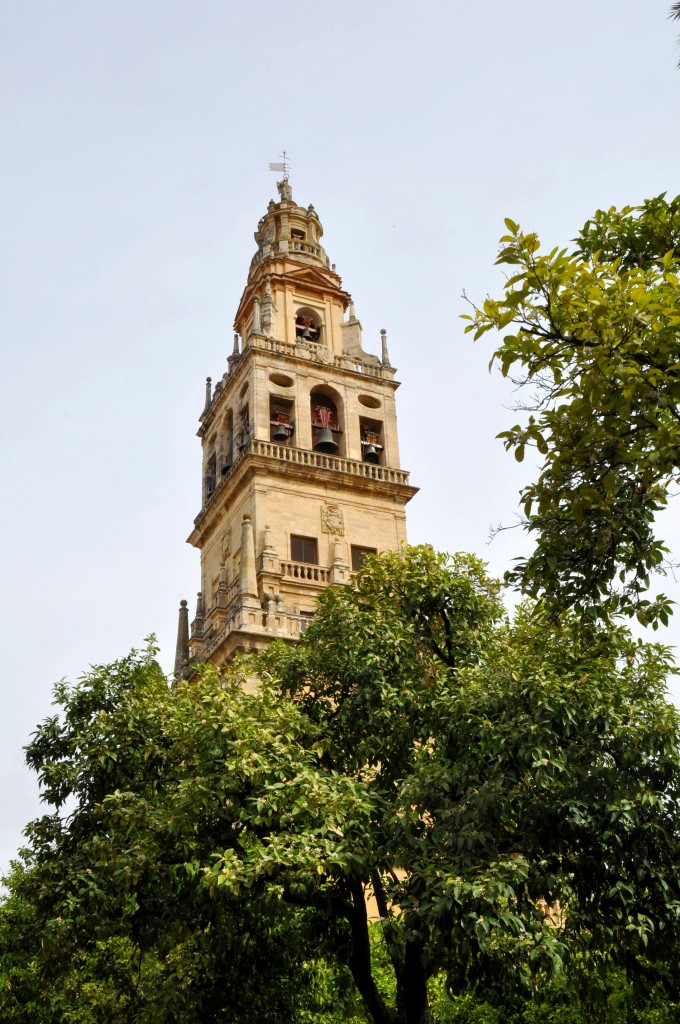 Foto: Torre campanario - Cordoba (Córdoba), España