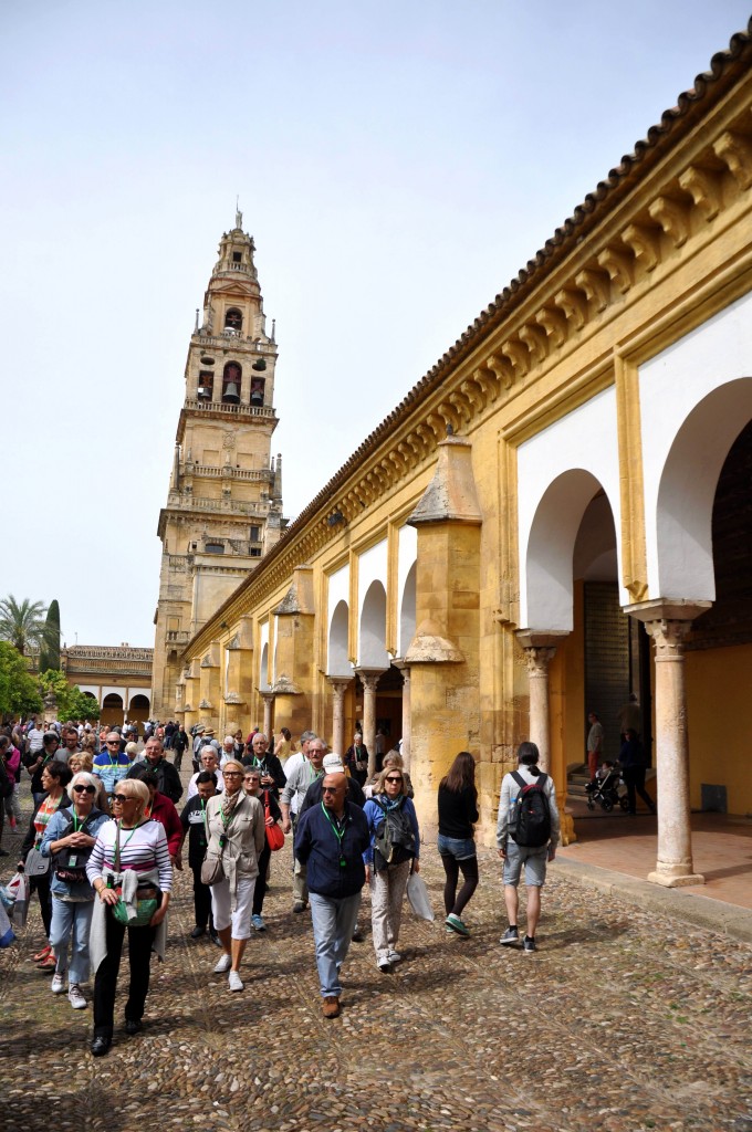 Foto: Patio y campanario - Cordoba (Córdoba), España