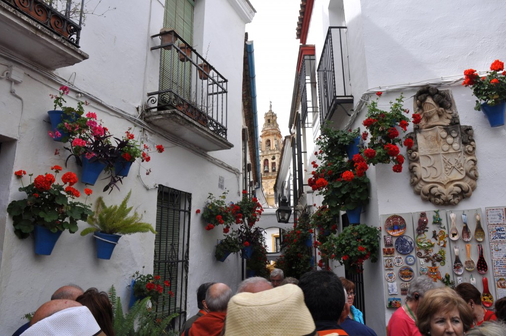 Foto: Calle de las flores - Cordoba (Córdoba), España