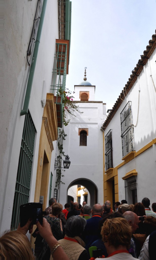 Foto: Callejuelas tipicas - Cordoba (Córdoba), España
