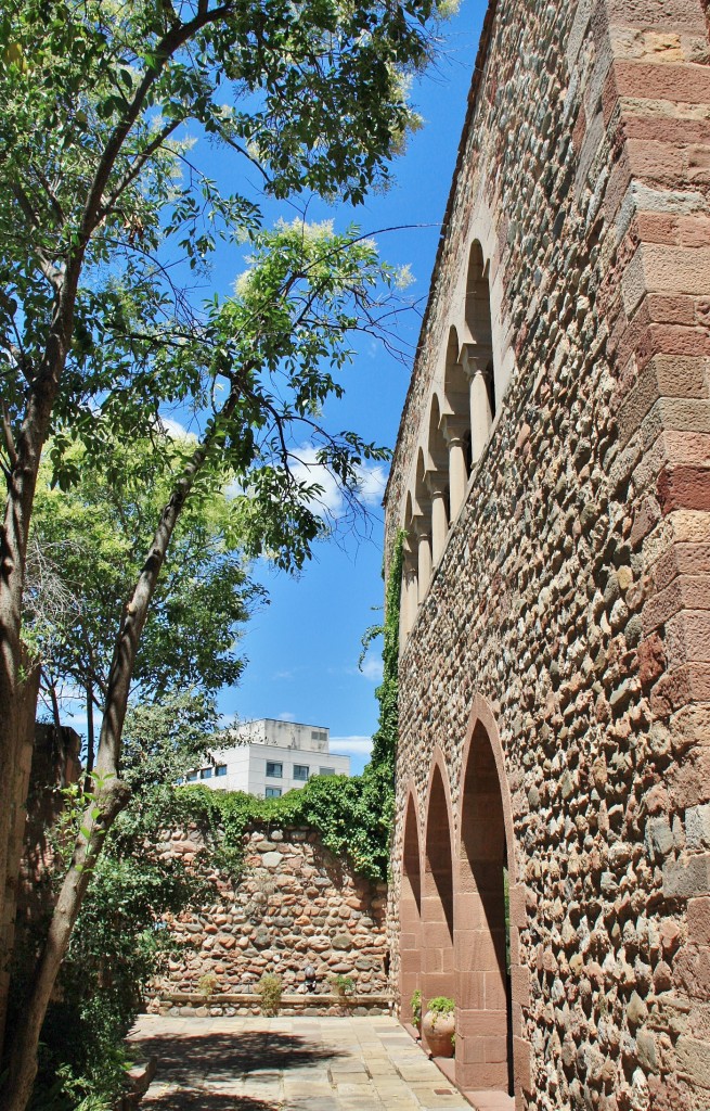 Foto: Castillo cartuja - Terrassa (Barcelona), España