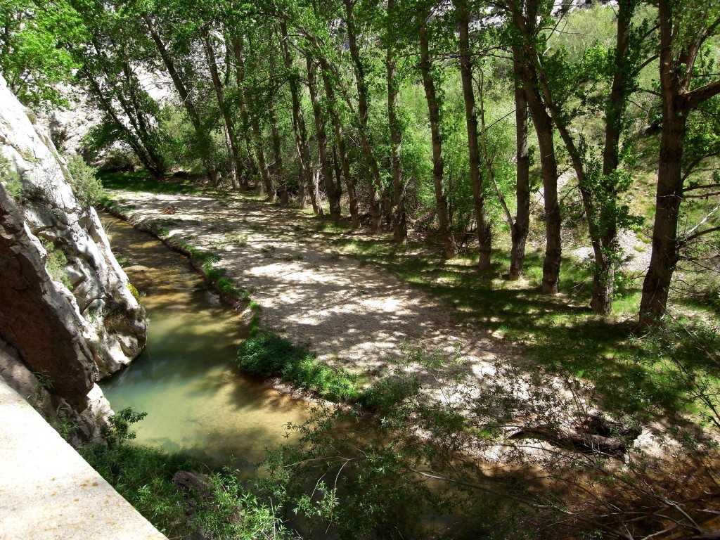 Foto: Chopada - Aliaga (Teruel), España