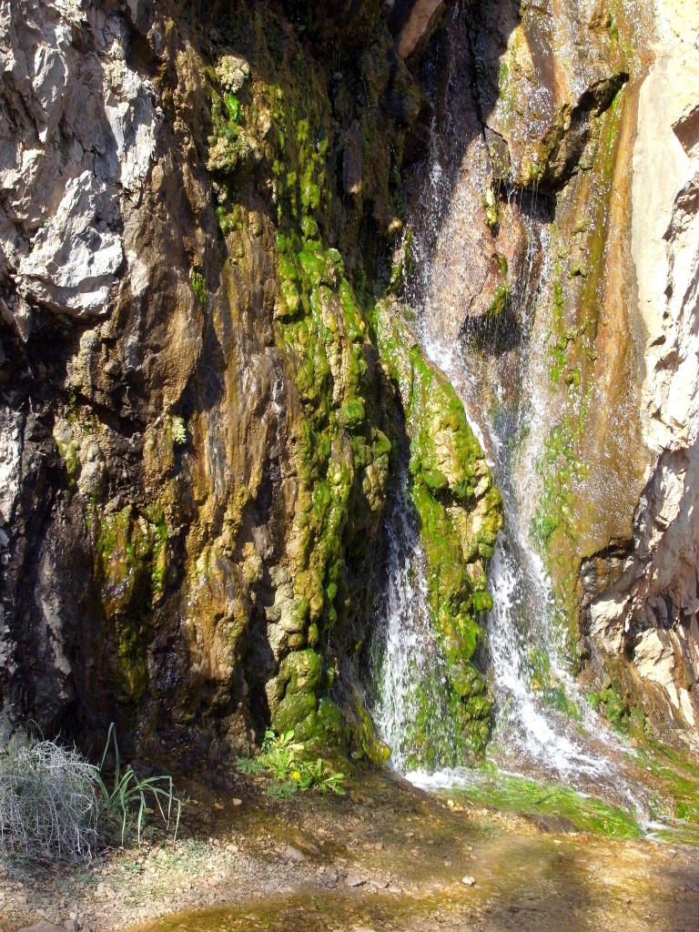 Foto: Musgo y fuente de agua - Aliaga (Teruel), España