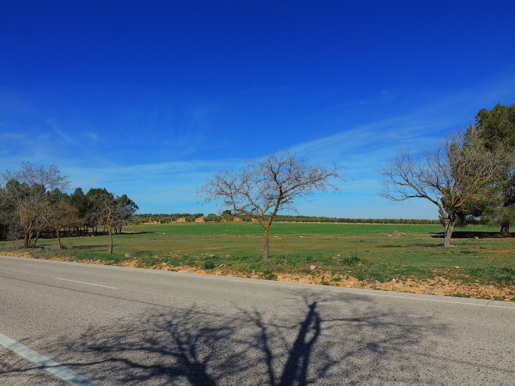 Foto: Peñarroya - Argamasilla de Alba (Ciudad Real), España