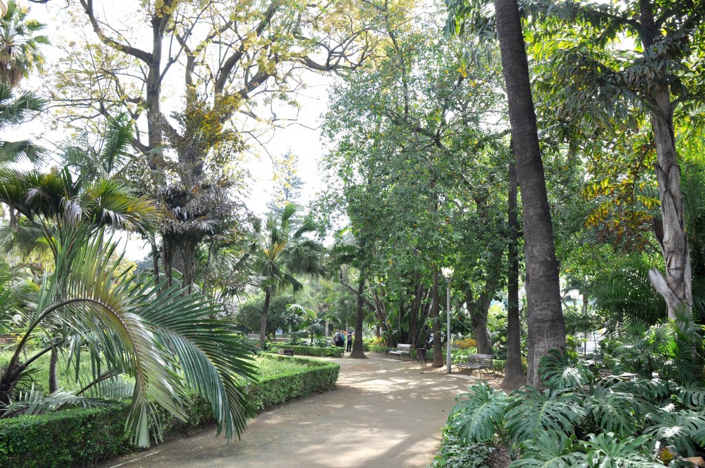 Foto: Jardines del paseo - Malaga (Málaga), España