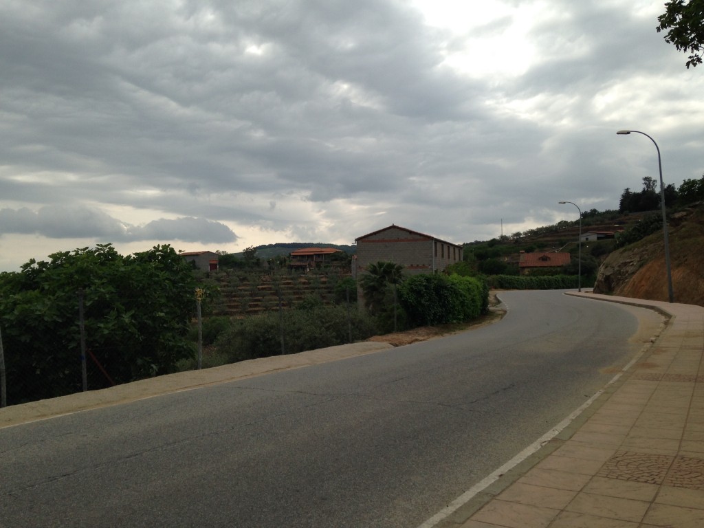 Foto: Carretera - Losar de la Vera (Cáceres), España