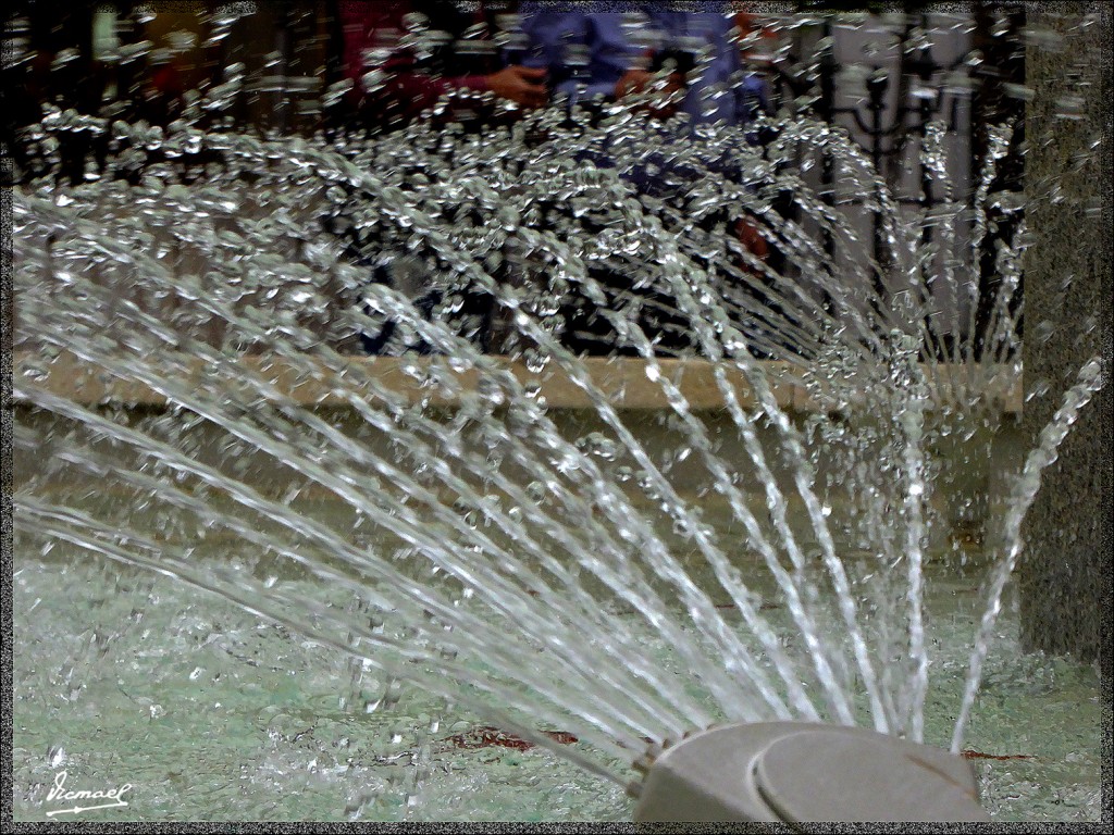 Foto: 150503-34 ZARAGOZA - Zaragoza (Aragón), España