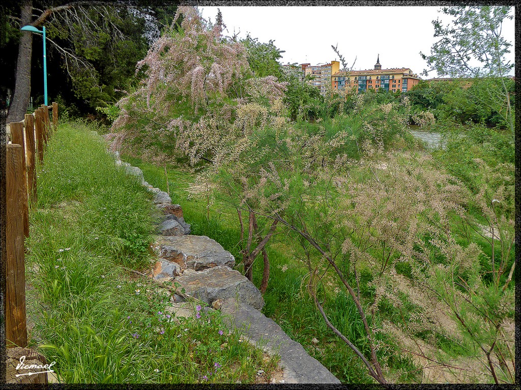 Foto: 150503-59 ZARAGOZA - Zaragoza (Aragón), España