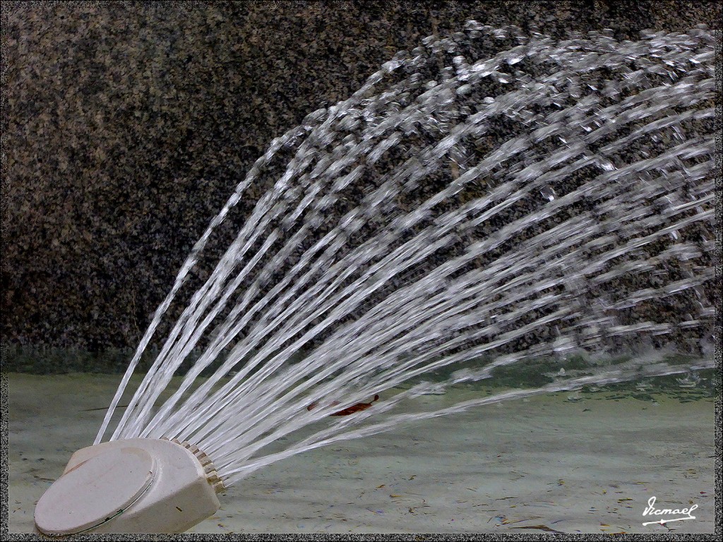 Foto: 150503-31 ZARAGOZA - Zaragoza (Aragón), España