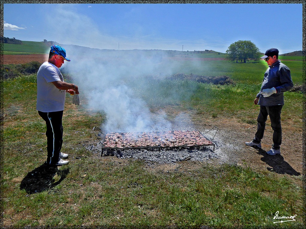 Foto: 150509-04 ALCONCHEL DE ARIZA - Alconchel De Ariza (Zaragoza), España