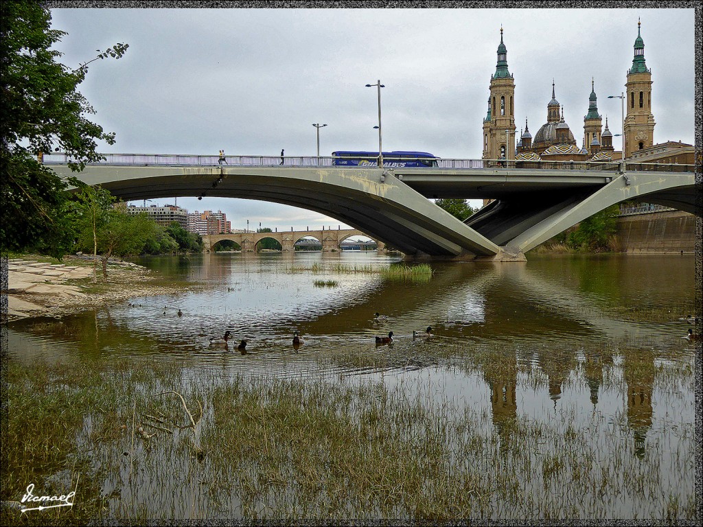 Foto: 150503-46 ZARAGOZA - Zaragoza (Aragón), España