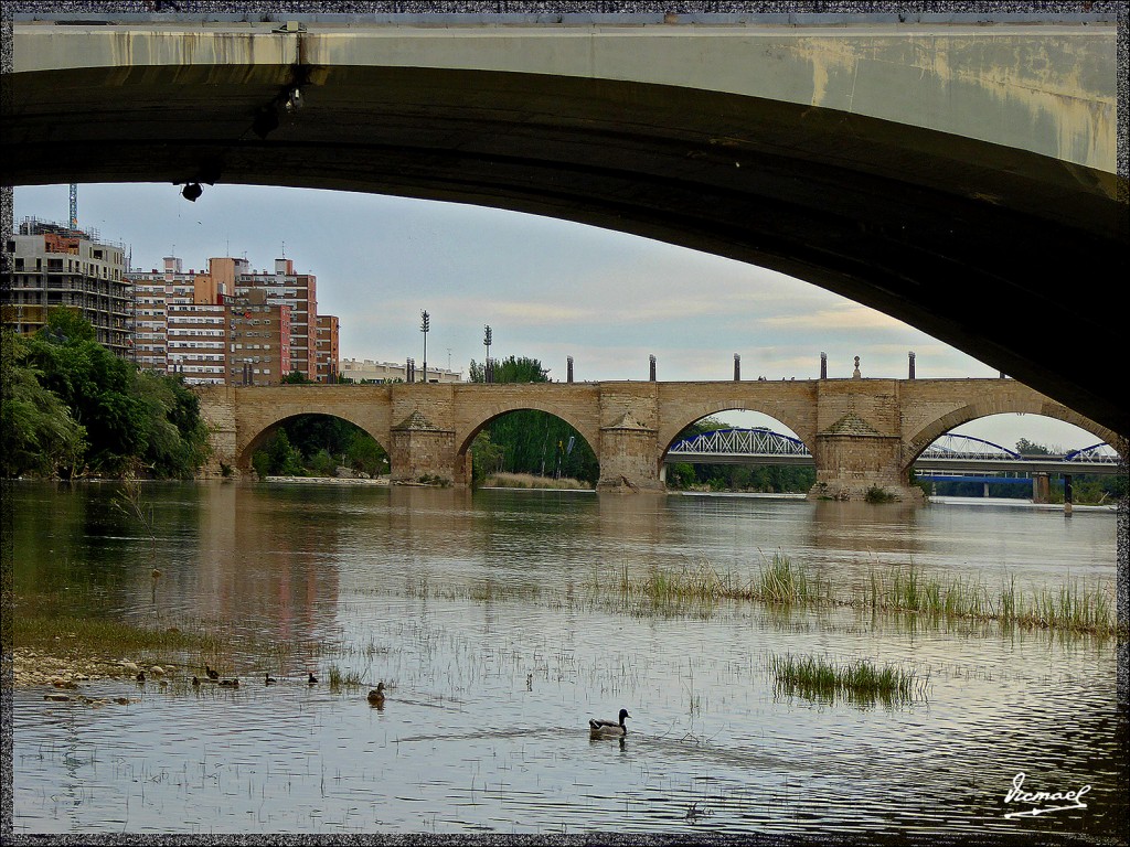 Foto: 150503-47 ZARAGOZA - Zaragoza (Aragón), España