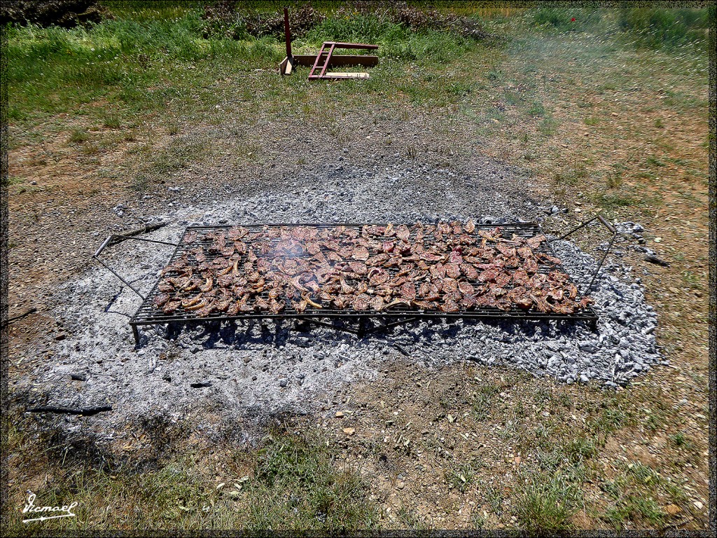 Foto: 150509-06 ALCONCHEL DE ARIZA - Alconchel De Ariza (Zaragoza), España