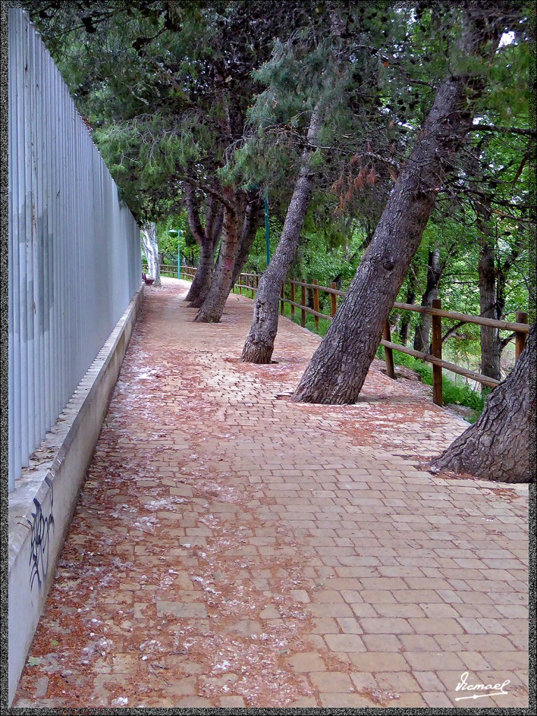 Foto: 150503-41 ZARAGOZA - Zaragoza (Aragón), España