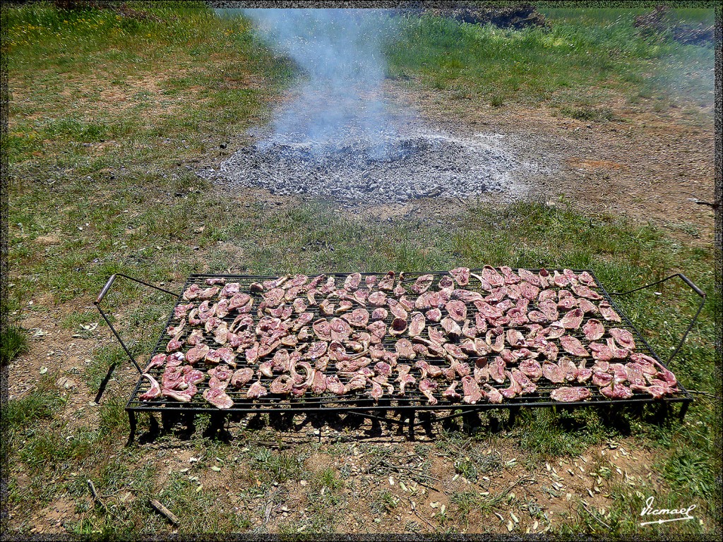 Foto: 150509-05 ALCONCHEL DE ARIZA - Alconchel De Ariza (Zaragoza), España