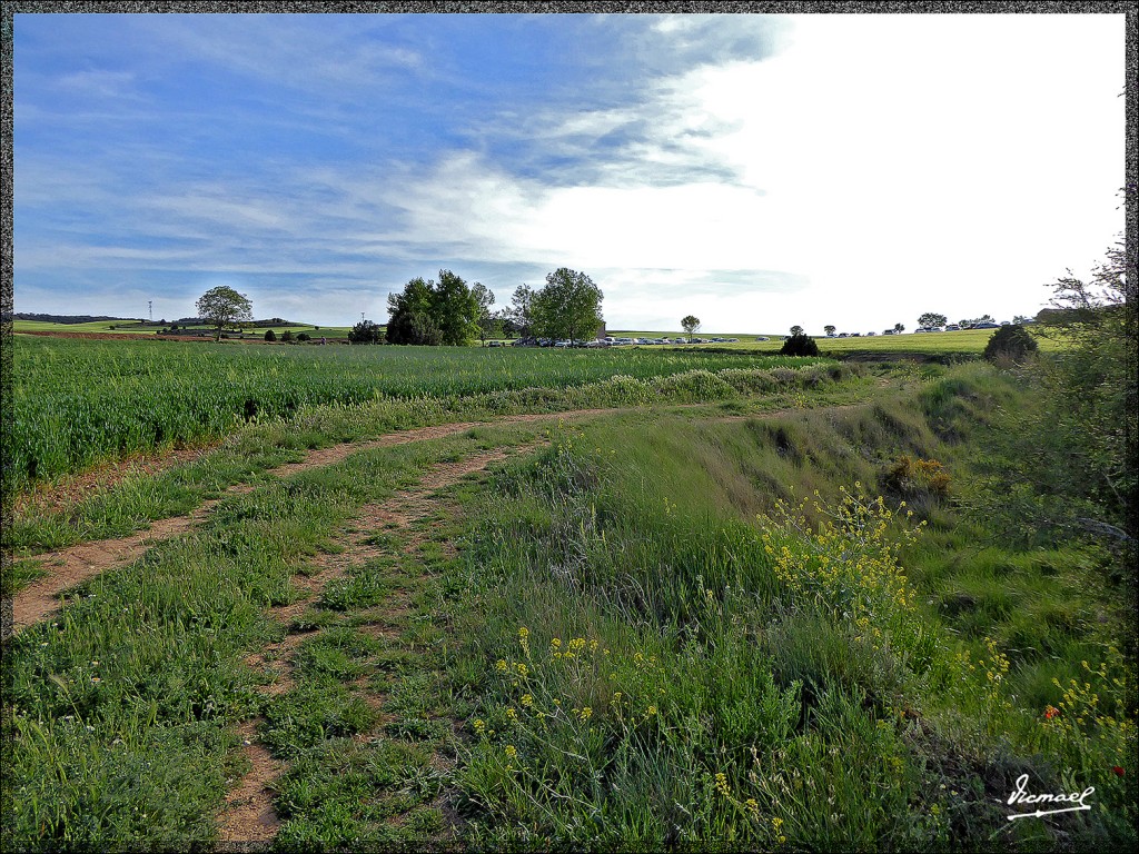 Foto: 150509-14 ALCONCHEL DE ARIZA - Alconchel De Ariza (Zaragoza), España