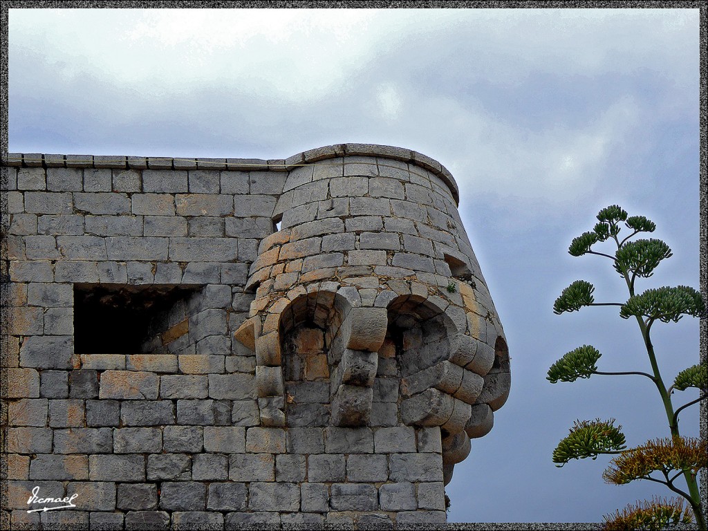 Foto: 150613-09 OROPESA DEL MAR - Oropesa del Mar (Castelló), España