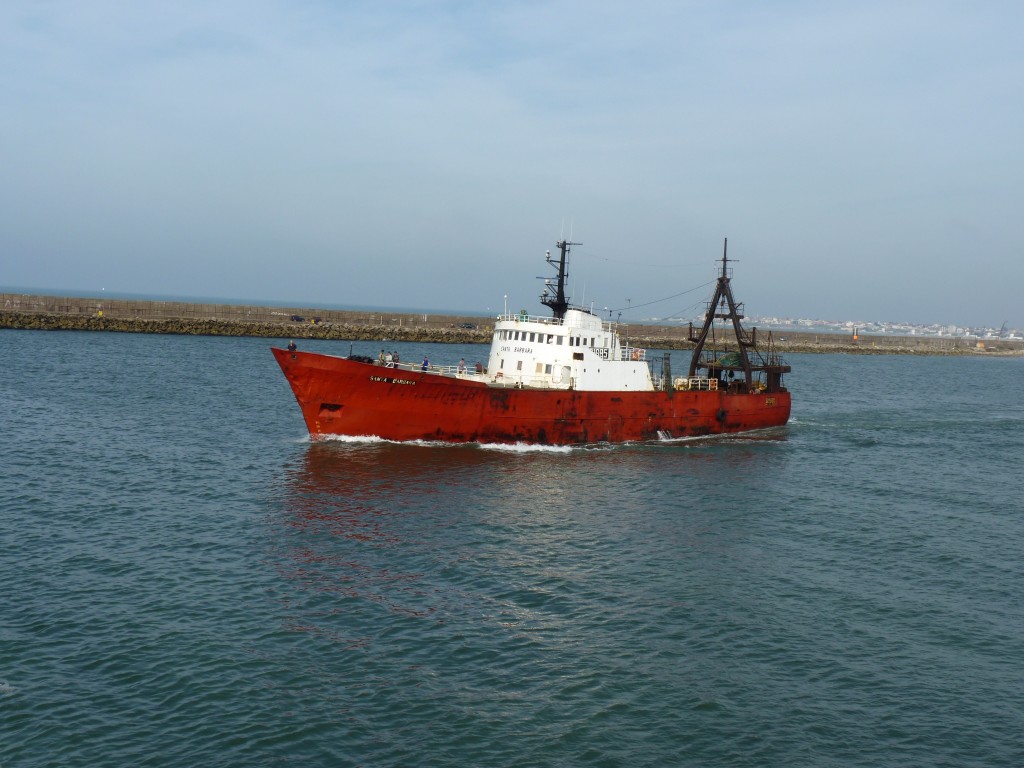 Foto: Puerto de Mar del Plata. - Mar del Plata (Buenos Aires), Argentina