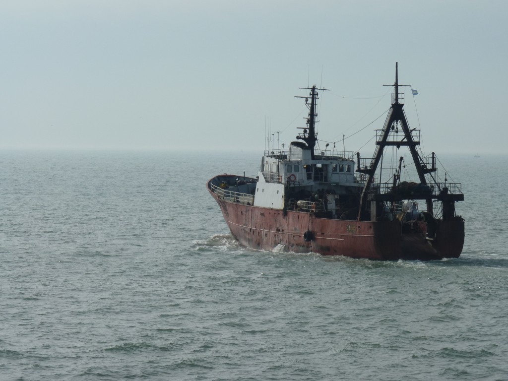 Foto: Puerto de Mar del Plata. - Mar del Plata (Buenos Aires), Argentina