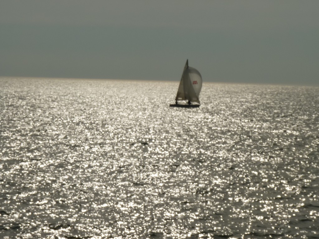 Foto: Puerto de Mar del Plata. - Mar del Plata (Buenos Aires), Argentina
